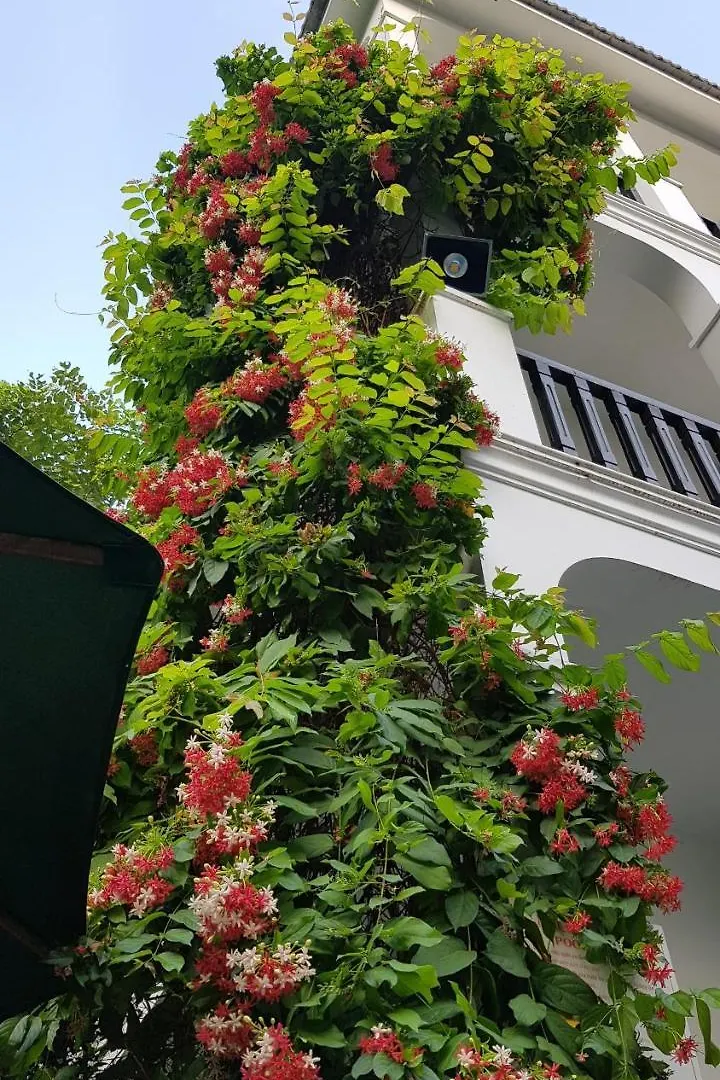 Hoi An Osaka Boutique Villa Otel